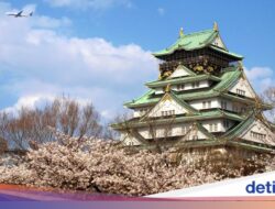 Turis Asal Turki Lagi Menyerbu Jepang