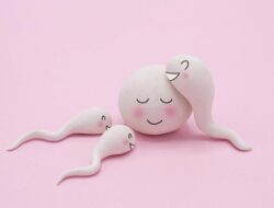 Waktu Ideal Bercinta Berdasarkan Usia, Lebih Baik Pagi atau Malam?