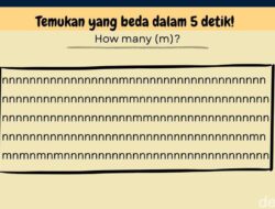 Hanya Sedikit yang Bisa Jawab Benar Semua, Yakin Lolos Untuk Jebakan Visual Ini?