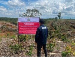 Kemenhut Identifikasi Kerusakan Lingkungan Hingga Hulu DAS Batang Toru dan DAS Sibuluan