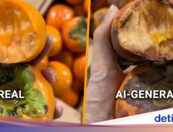 Pembeli Rekayasa Foto Konsumsi Busuk Pakai AI, Trik Culas buat ‘Refund’