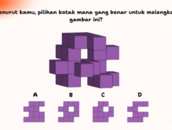 Cuma yang Punya Ketelitian Super Bisa Temukan Wadah yang Pas Di Gambar Ini