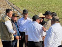 BULOG dan BAPANAS Terima Apresiasi Mendagri atas Gerak Cepat Stabilisasi Ketahanan Pangan Pascabencana