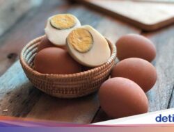 Telur Rebus Disimpan Berhari-hari, Masih Aman Dimakan?