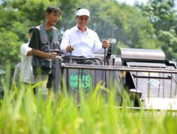 Kementan Bentuk 33 Balai Besar Modernisasi Pertanian Hingga 33 Provinsi