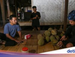 Sebelumnya Kawalu, Traveler Masih Bisa Pesta Durian Ke Baduy