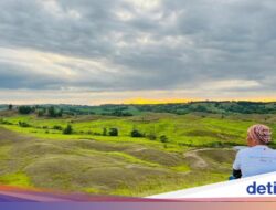 Menikmati Keindahan Savana Bukit Punggung Kuda Hingga Bombana