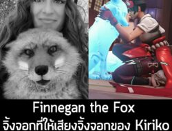 [News] Finnegan the Fox จิ้งจอกที่ให้เสียงพากย์จิ้งจอกของ Kiriko ใน Overwatch 2 กลับดาวแล้ว  . เป็นข่าวเศร้าสำหรับแฟนๆ O…