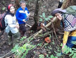 Peneliti Indonesia Kembali Temukan Jenis Mutakhir Rafflesia