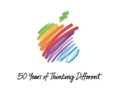 Surat Emosional Regu Cook dan Rahasia Bertahan Di Industri yang Kejam