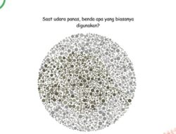 Tes Mata Buta Warna atau Nggak, Coba Temukan Benda Tersembunyi Hingga Gambar Ini