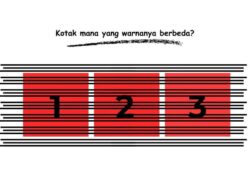 Uji Ketelitian Mata, Bisa Temukan Objek yang Warnanya Beda Tipis?