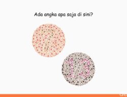 Harusnya Gampang Kalau Tak Buta Warna, Angka Berapa Saja yang ‘Tersembunyi’?