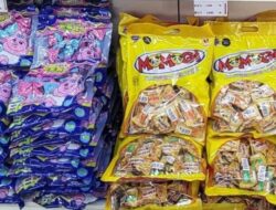 Awal 2026, Momogi Group Gencar Ekspansi Di Pasar Internasional