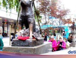 Turis Serobot Antrean Foto Hingga Patung Hachiko, Warganet Geram