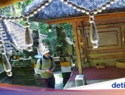 Turis Nakal Curi Uang Sesari Di Pura Goa Gajah Gianyar Terekam CCTV