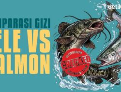 Kandungan Gizi Lele Vs Salmon, Apa Saja yang Beda?