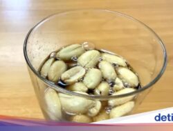 Minum Soda Campur Kacang Goreng Dari Sebab Itu Gaya Di Jepang, Gimana Rasanya?