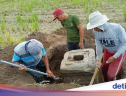 Artefak Berharga Ditemukan Hingga Sawah, Diduga Yoni tapi Kondisinya Tak Utuh Lagi