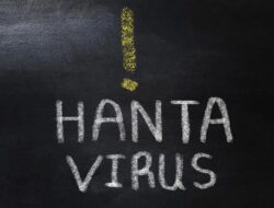 Fakta-fakta Hantavirus Di RI, Jumlah Peristiwa Pidana Hukum-Area Sebaran