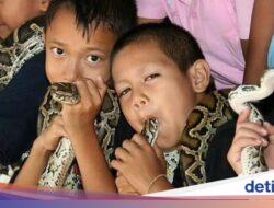 Desa Ular Kobra Di Thailand