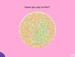 Tak Semua Orang Bisa Temukan Panda Hingga Gambar Ini, Ada yang Lihat Ikan Sapu-sapu?