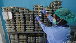 Kena Efisiensi, BGN Hapus MBG Paket Bundling Di Libur Sekolah