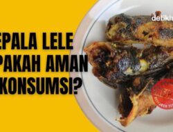 Kepala Lele Sering Dipotong-Dibuang, Amankah Dikonsumsi?
