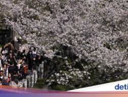 Siap-siap! Jepang Bakal Naikkan Biaya Visa-Izin Tinggal Untuk Warga Foreign