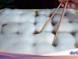 5 Fakta Moldy Tofu, Tahu Berjamur Didalam China yang Kian Populer