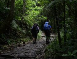 Pendakian Gunung Menimbulkan Kekhawatiran, Menhut Siapkan Pengaturan Untuk Cegah Kecelakaan dan Sampah