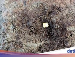 Terungkap Sudah Fungsi Kepingan Emas yang Ditemukan Hingga Candi Losari