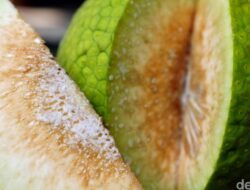 Guru Besar IPB Sebut Sukun Bisa Karena Itu ‘Superfood’, Manfaatnya Nggak Kaleng-kaleng