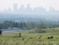 Asap Bencana Alam Ancam Kesejajaran Warga Calgary