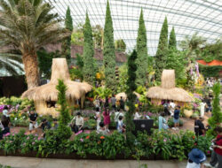 Indonesia Hadirkan 30 Instalasi Karyaseni Ke Flower Dome Singapura, Tampilkan Pesona Nusantara