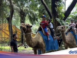 Gegara Direktur Penyalahgunaan Jabatan Pakan Rp 10 Miliar, Satwa KBS Karena Itu Kurus-Markas Rusak