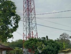 Protelindo Sampaikan Penjelasan Yang Terkait Bersama Kepemilikan Saham PT Bakrie Telecom Tbk