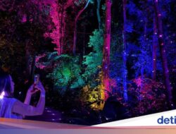Foto-foto Estetik Wisata Malam Hingga Hutan Langkawi
