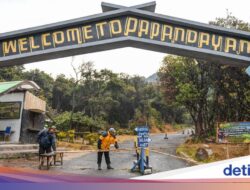 Badan Geologi Minta Wisatawan Waspadai Gas Beracun Ke Area Blue Fire Papandayan